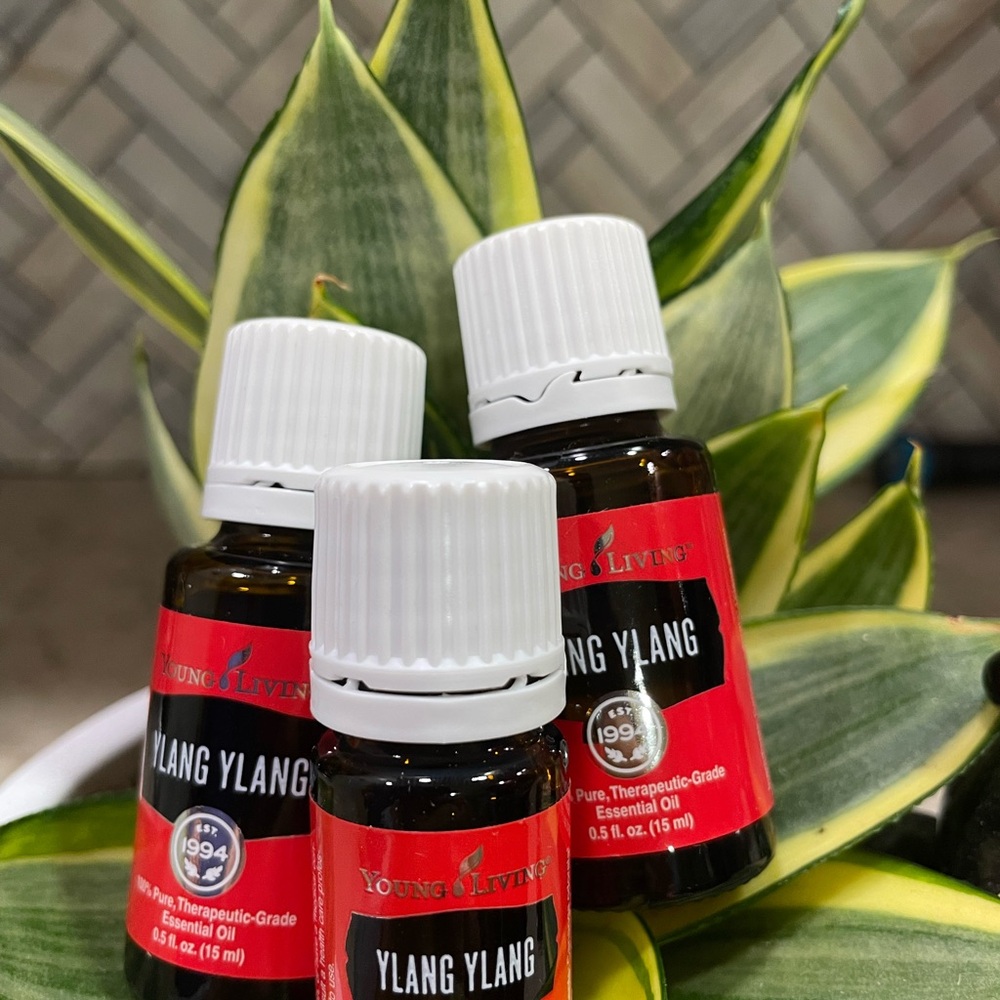 Young Living Ylang Ylang Essential Oil Trio
